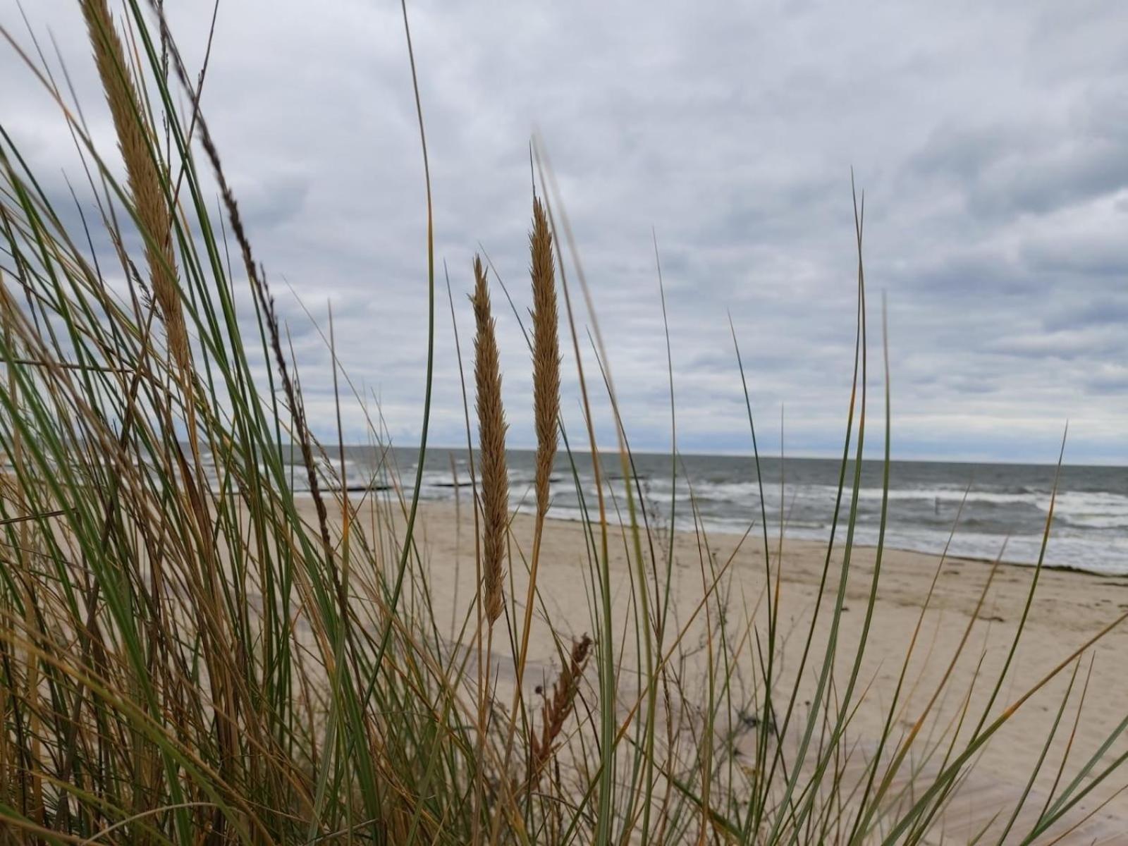 Ostsee Ferienhaus Usedom Hundefreundlich Familie Stopp Haus 22 Lutow Екстериор снимка